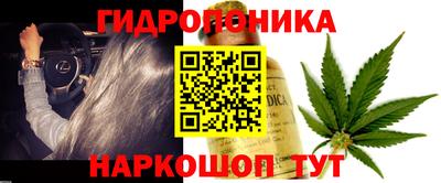 кокс Моздок
