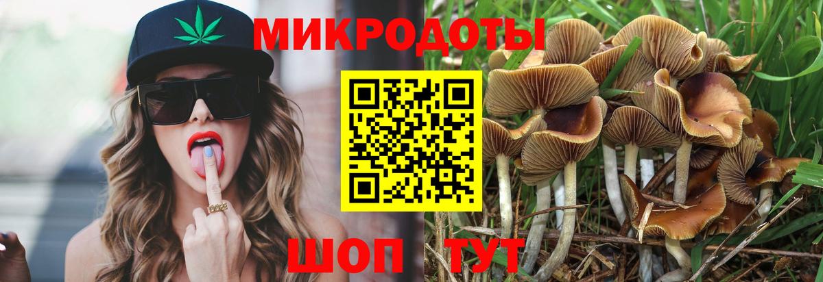 Галлюциногенные грибы Magic Shrooms Сергиев Посад