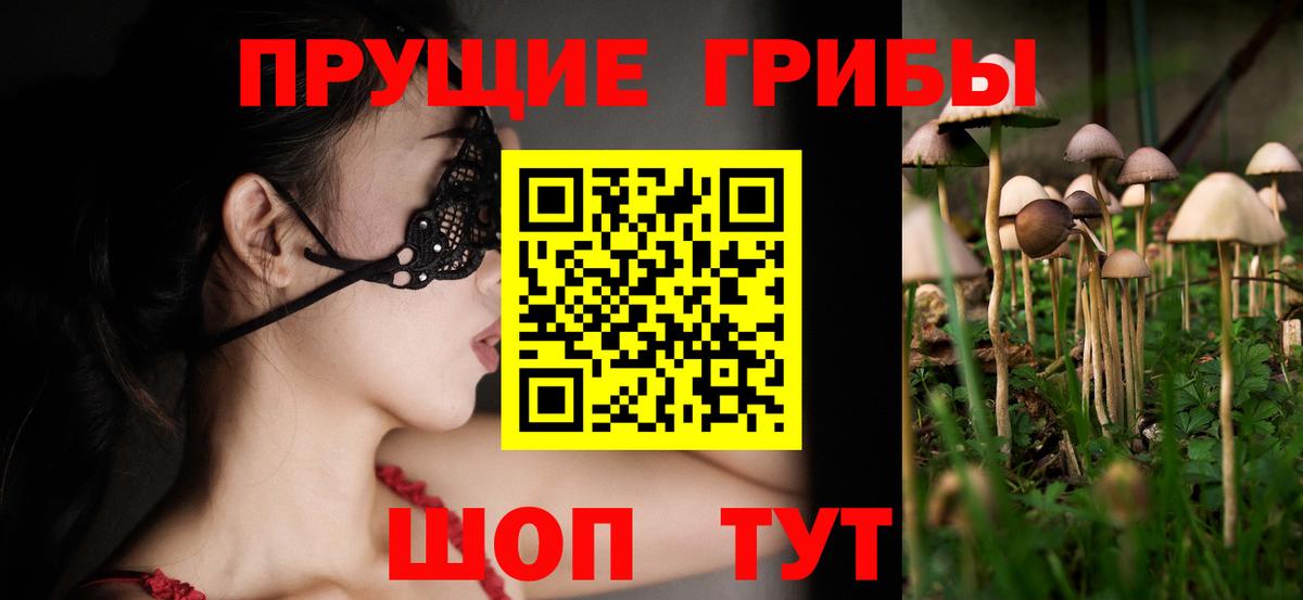 купить наркоту  Галлюциногенные грибы мухоморы  Сергиев Посад  Вход с VPN  Псилоцибиновые грибы GOLDEN TEACHER 